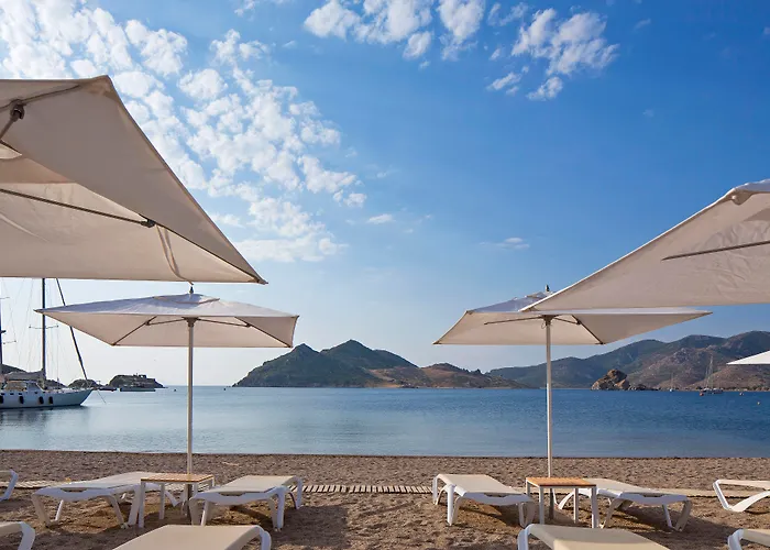 Ξενοδοχείο Patmos Aktis, A Luxury Collection & Spa, Greece Γροίκος